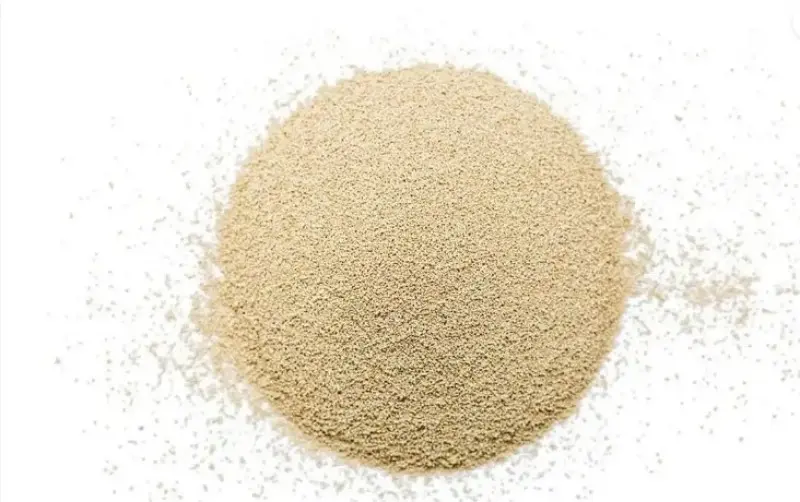 What is the Difference Between Yeast, Baking Powder and Baking Soda?